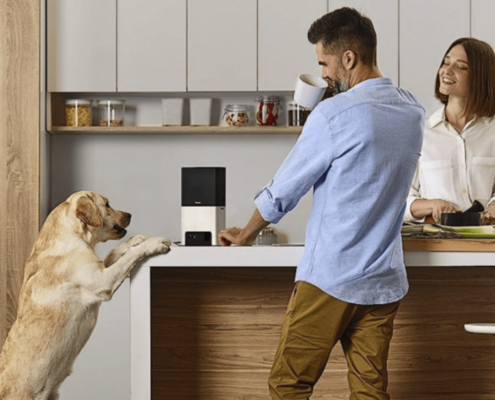 Petcube Camera | iSmartHomeGuide