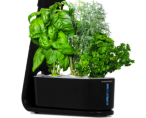 AeroGarden Sprout | iSmartHomeGuide
