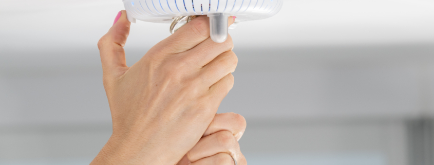 Smart Ceiling Fan With Light | iSmartHomeGuide